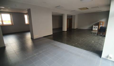VOĽNĚ obodné priestory na prenájom - Nové Zámky 128 m2
