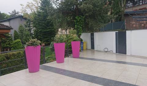 Prenájom 4 izbového bytu v  rodinnom dome na Matúšovej ulici