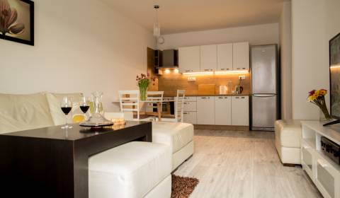 Prenájom 2 izbový byt, ul.H.Ponickej, BORY HOME, Bratislava IV Lamač