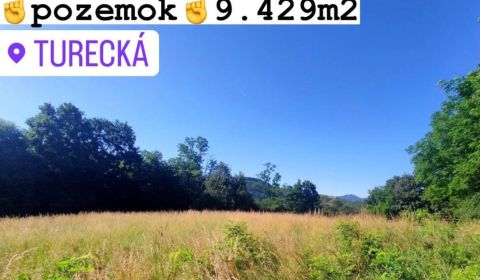 EXKLUZÍVNE ! pozemok na predaj, 9.429 m2, Turecká