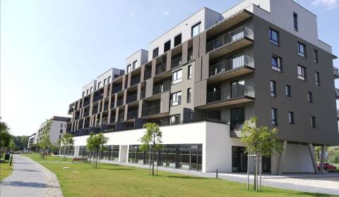 REZERVOVANÝ - Dobrá investičná možnosť - 1 izbový bytík v Slnečniciach