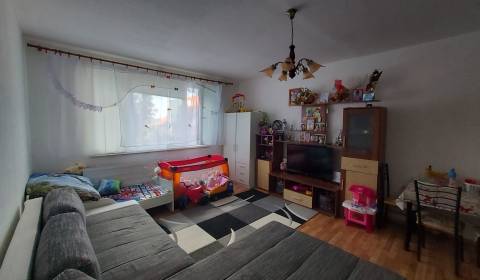 Ponúkame na predaj 1- izbový byt Šaľa - Veča