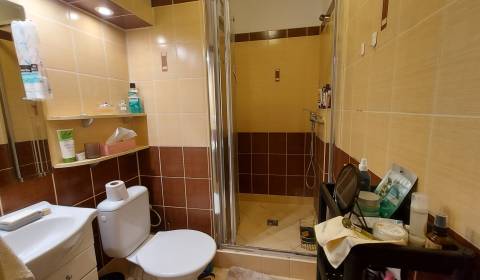 Ponúkame na predaj 1-izbový byt v Nových Zámkoch
