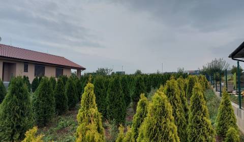 Ponúkame na predaj pozemok v obci Cabaj Čápor - časť Nový Cabaj