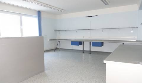 Prenájom – KANCELÁRIE a SKLADY (11 m2 až 260 m2), BA - Pod. Biskupice