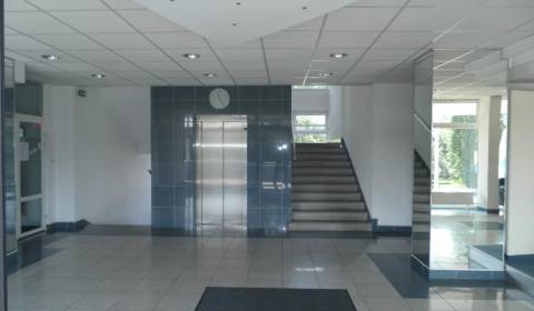 Prenájom kancelárií 18m2, 29m2, 62m2 a 245 m2, Drieňová ul.