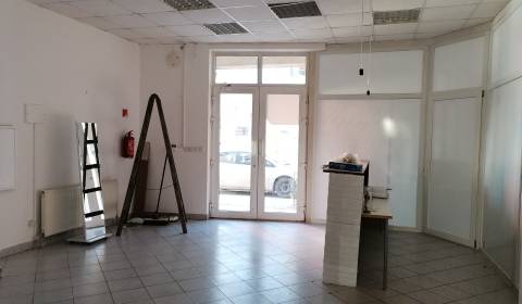 WEBEROVA: VOĽNÉ nebyt. priest., cca 60 m2, prízemie - ROZMANITÉ využ.