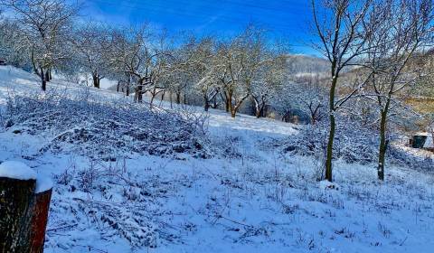 NOVINKA...Na predaj výstavba bungalov 629 m2, Prešov