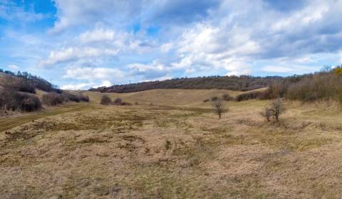 Pozemky Hnevlivá dolina, Prešov