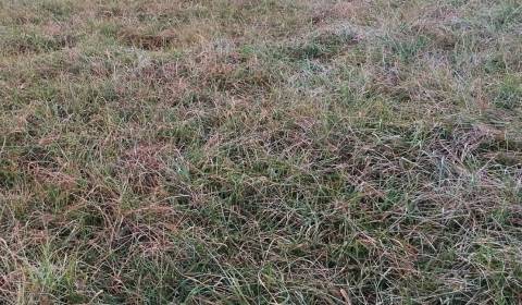 Pozemok 4 800 m2 priemyselná zóna Dolná Krupá, 10 km od Trnava