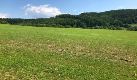 PREDAJ: Rekreačný pozemok v obci Horná Breznica- 6877m2