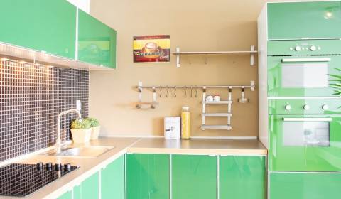 REZERVOVANÉ! ŠTARTOVACÍ 1 - IZB. BYT, NOVOSTAVBA, LOGGIA, NOVÉ MESTO