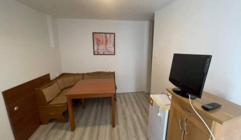 Prenajmem 1 izbový byt v Nesvadoch