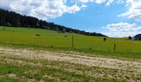 Pozemok na predaj, orná pôda, pasienok, Kunerad 3329m2