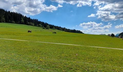 Na predaj PASIENOK, orná pôda, Kunerad 3329m2