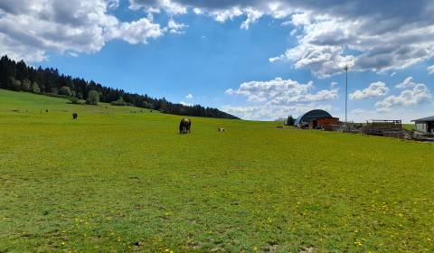 Na predaj PASIENOK, orná pôda, Kunerad 3329m2