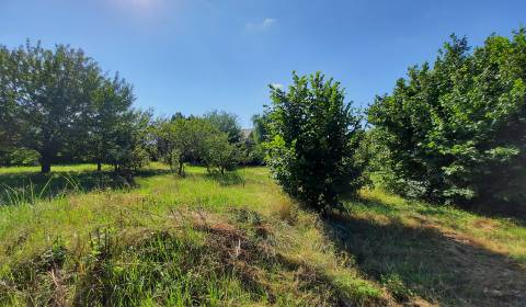 Pozemok s pivnicou na predaj, 1200m2, Nitra – Párovské Háje