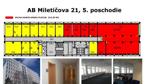 Kancelárske priestory, viac možností, väčšia rozloha, Miletičova ul.
