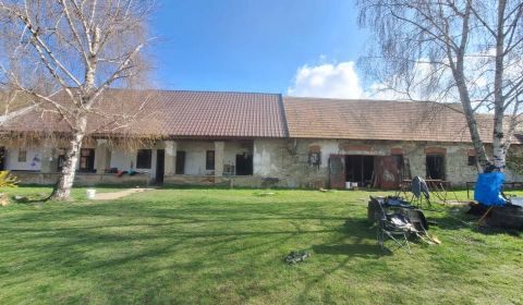 Na predaj starší sedliacky R. dom  s obrovským pozemkom  2924m2