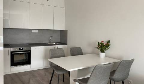 PRENÁJOM 3 izbový byt v novostavbe TABAŇ - centrum, Nitra