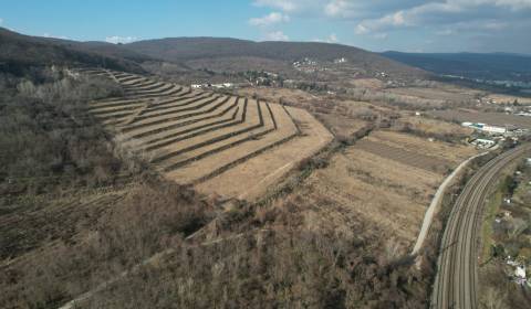 EXKLUZÍVNE INVESTIČNÝ POZEMOK O VÝMERE 2000 M2, NOVÉ MESTO - VINOHRADY