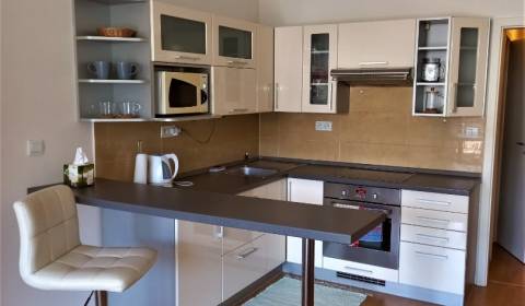Prenájom 1 izbový byt s balkónom Sliačska BA-Nové mesto