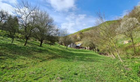 Znížená cena - pozemok na predaj, Vyhne okres Žiar nad Hronom