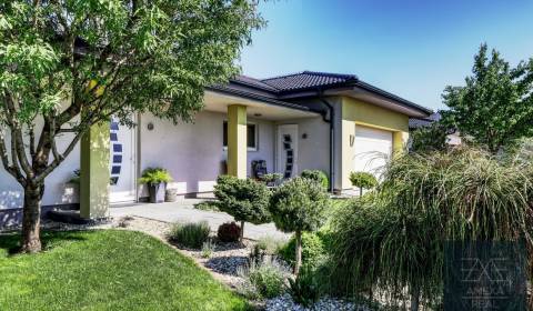 Luxusný rodinný dom s prekrásnou záhradou v Senci