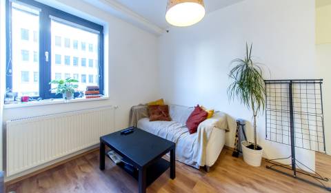 Moderný 2i byt 30 m2, s pivnicou, petfriendly MODRÁ GUĽA
