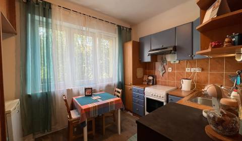 ŠTARTOVACÍ kompletne zrekonštruovaný 1 IZB byt na predaj, Slovinská