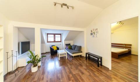 Pekný 2i byt 44m2, s vysokými stropmi, dogfriendly, výborná lokalita 