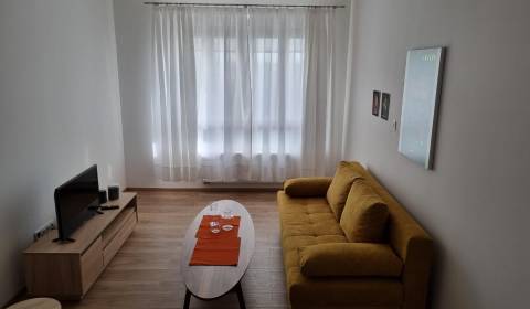 Prenajmeme 2izb byt na Školskej ulici