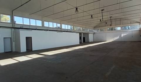 Výrobná alebo skladová hala so zázemím o výmere 990 m2 v Trnave