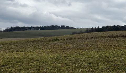 REKREAČNÝ POZEMOK: POZEMOK SNOV, TICHO, PRÍRODA, LES, LÚKY- 4.121m2
