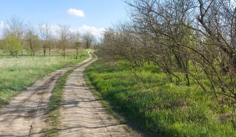 Pozemok na predaj Marcelová- predaj aj na splátky