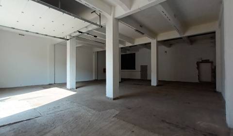 Prenájom haly o výmere 225 m2 v Trnave
