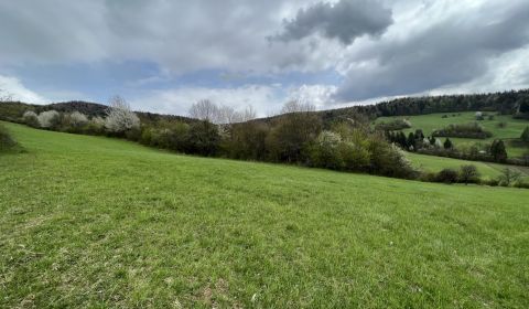 Rekreačný pozemok vo vyhľadávanej obci Zbora- 2.399m2