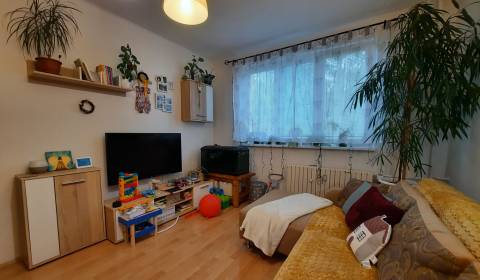 2-izbový byt  na predaj, Vráble - Kaška, 49 m2