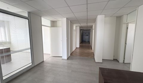 Prenájom kancelárií na Miletičovej ul. 210 m2