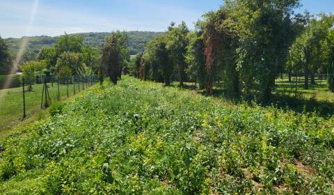 Veľkorysý stavebný pozemok v obci Edelstal 