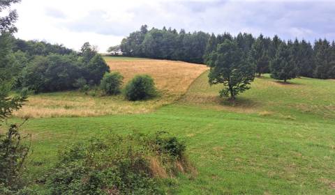  ZĽAVA  Na predaj pozemok v katastrálnom území obce Horné Hámre 