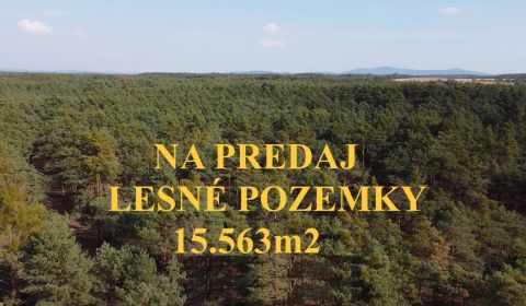 LESNÉ POZEMKY 15.563m2, BORSKÝ MIKULÁŠ, okr. SENICA