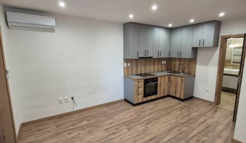 Ponúkame na prenájom 1 izbový byt 46 m2 Dvory nad Žitavou 