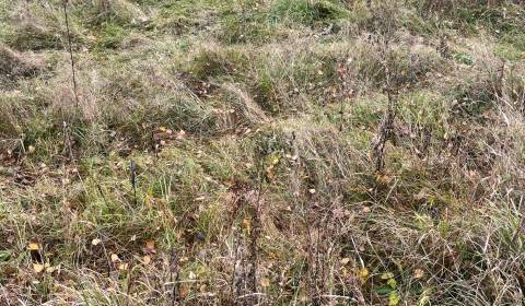 Predaj : Stavebný pozemok  v obci Makov (125-P)