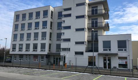 Kancelárie na Žabom Majeri  za 10EUR/m2 aj s parkingom!