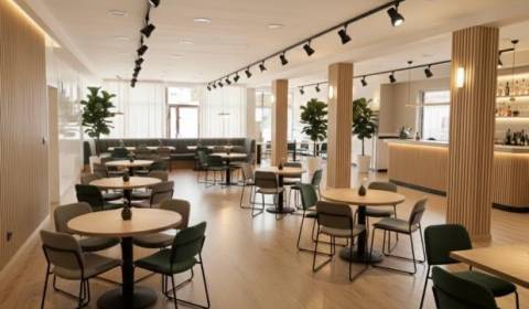 Prenájom - obchodný priestor 250 m2 najfrekventovanejšia ulica Žiliny