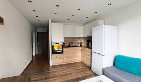  ❗️  PRENAJATÉ ❗️ 1 Izbový byt na prenájom, Partizánske - Malá Okružná