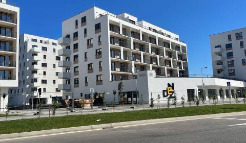 Veľký  1i byt NOVOSTAVBA RNDZ,Sklabinská ul., BA III.,44,75 m2