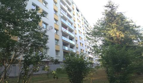 Hľadáme 1izbový byt, typ bauring, Banská Bystrica - Fončorda
