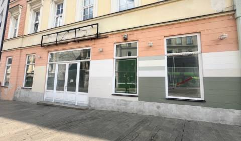 Prenájom obchodných priestorov v absolútnom centre, celok 614 m2